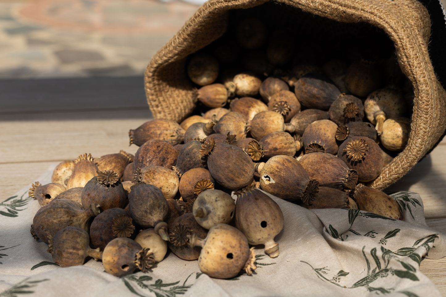 British Heritage Poppy Pods – Expertly Grown in Hungary (2kg Seedless)