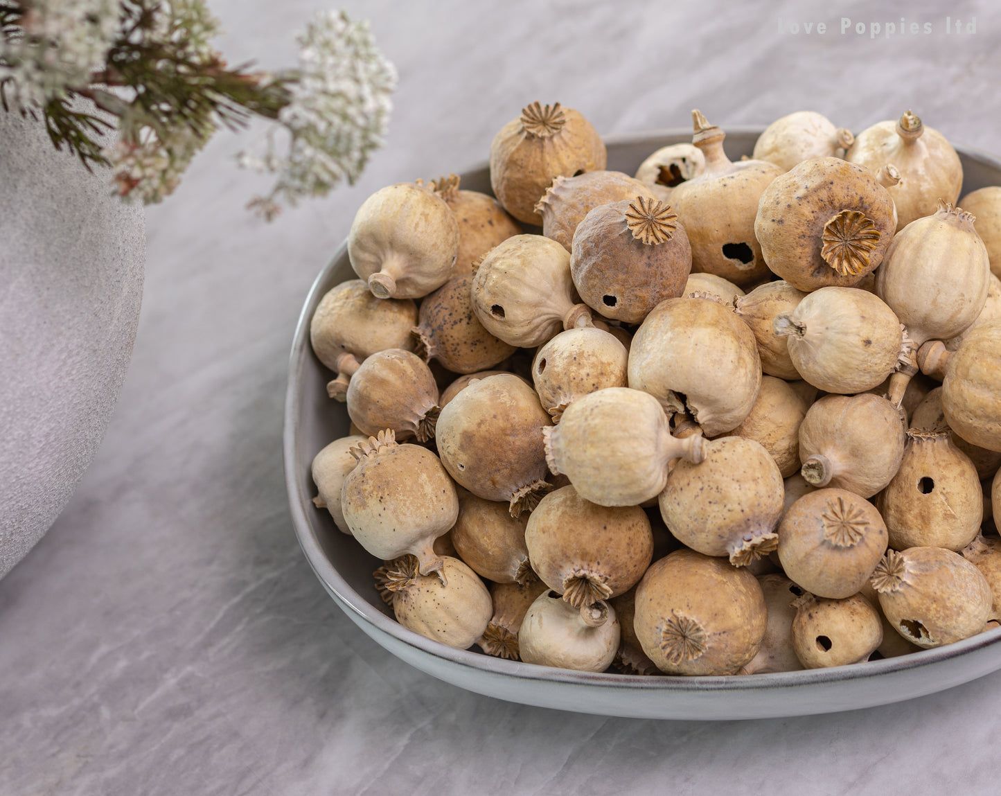 Hungarian Dried Poppy Pods - Seedless - Weight Approx 250g