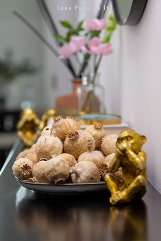 Hungarian Dried Poppy Pods - Seedless - Weight Approx 500g