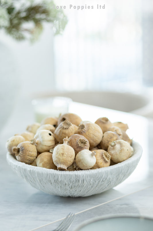 Hungarian Dried Poppy Pods - Seedless - Weight Approx 1KG