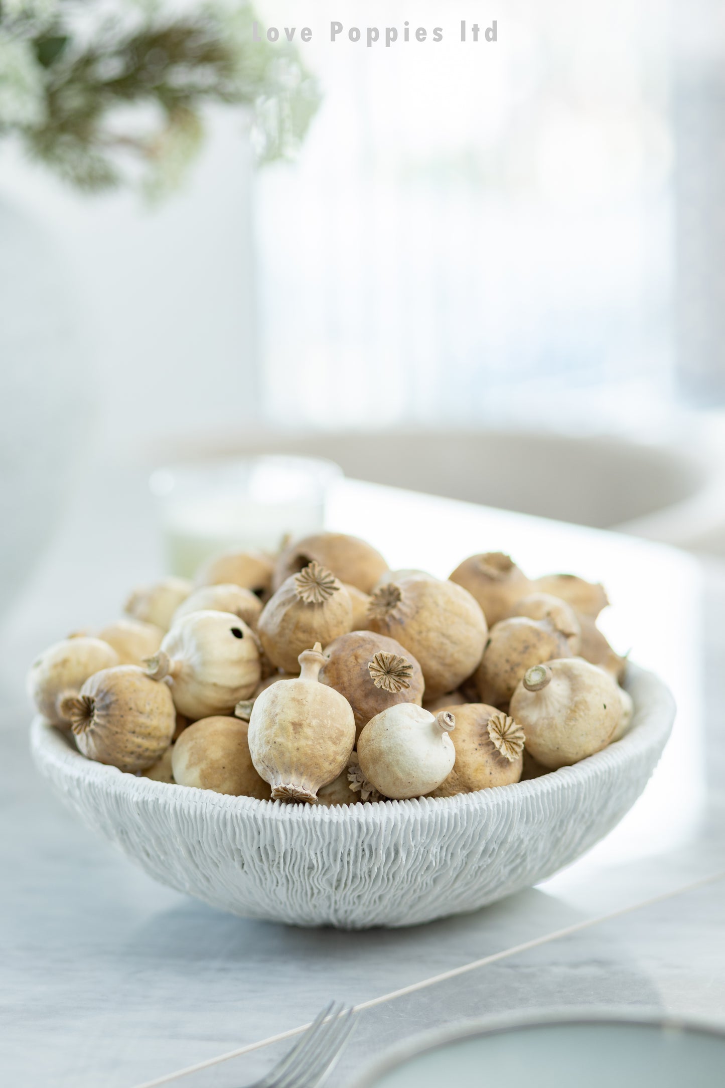 Hungarian Dried Poppy Pods - Seedless - Weight Approx 1.5KG