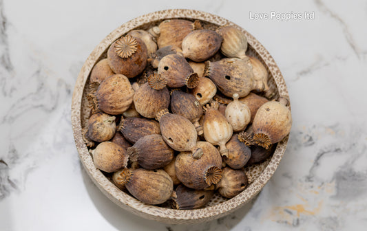 British Heritage Poppy Pods – Expertly Grown in Hungary (500g Seedless)