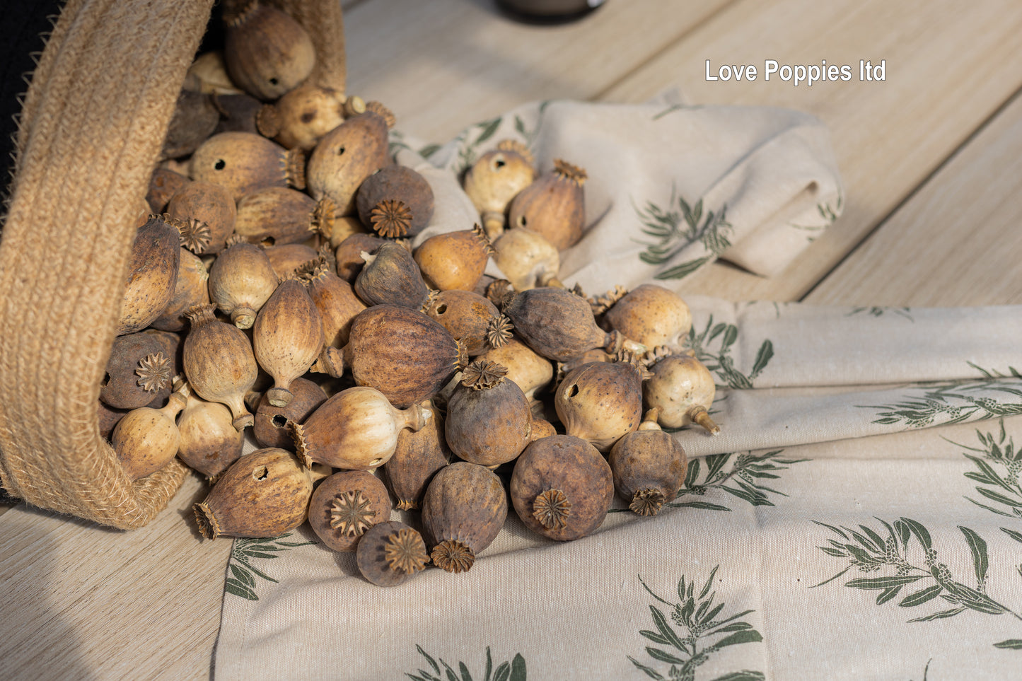 British Heritage Poppy Pods – Expertly Grown in Hungary (2kg Seedless)