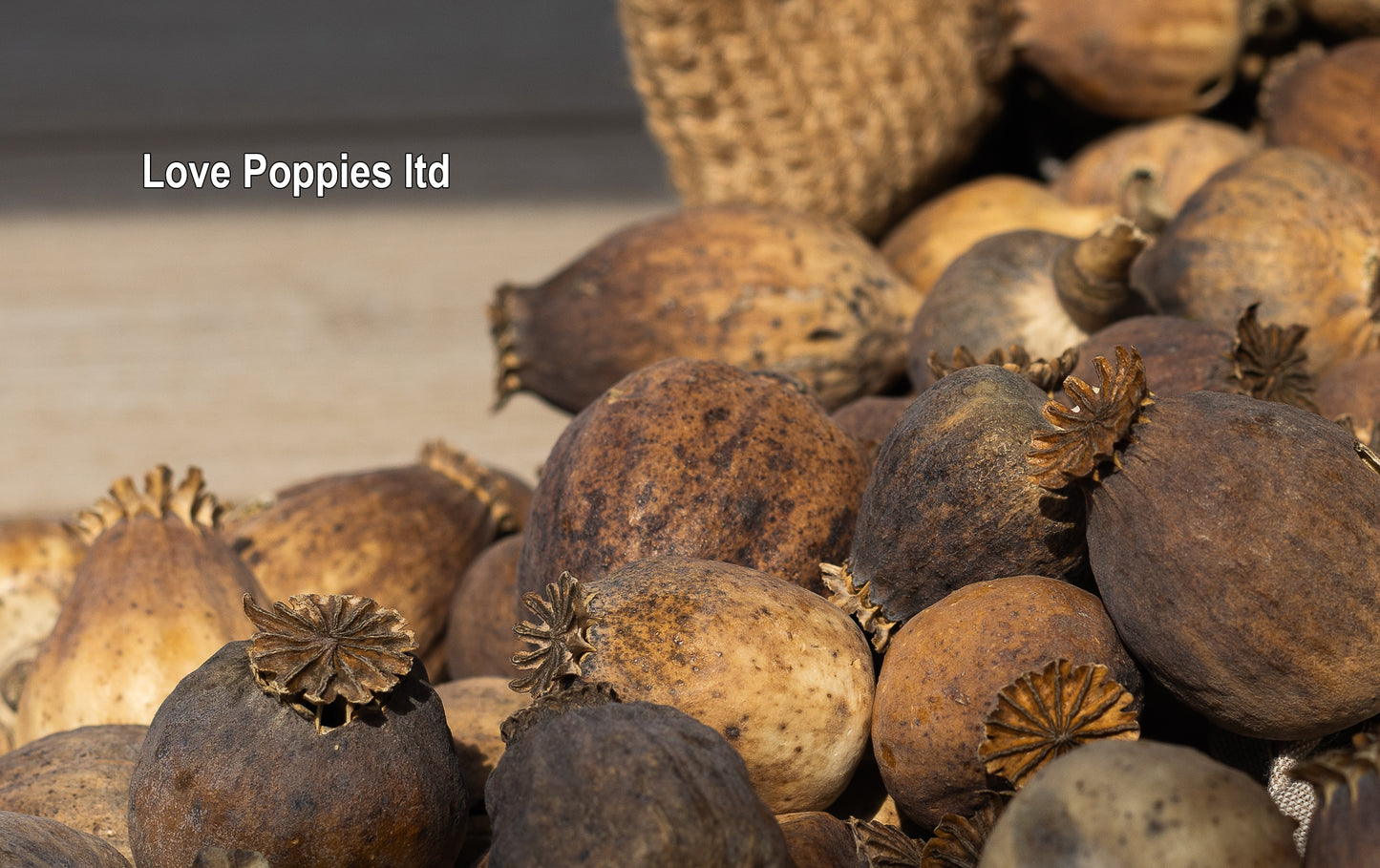 British Heritage Poppy Pods – Expertly Grown in Hungary (250g Seedless)