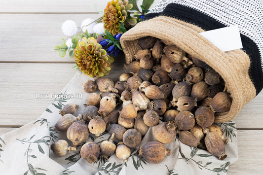 British Heritage Poppy Pods – Expertly Grown in Hungary (250g Seedless)
