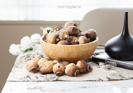 British Heritage Poppy Pods – Expertly Grown in Hungary (1.5kg Seedless)