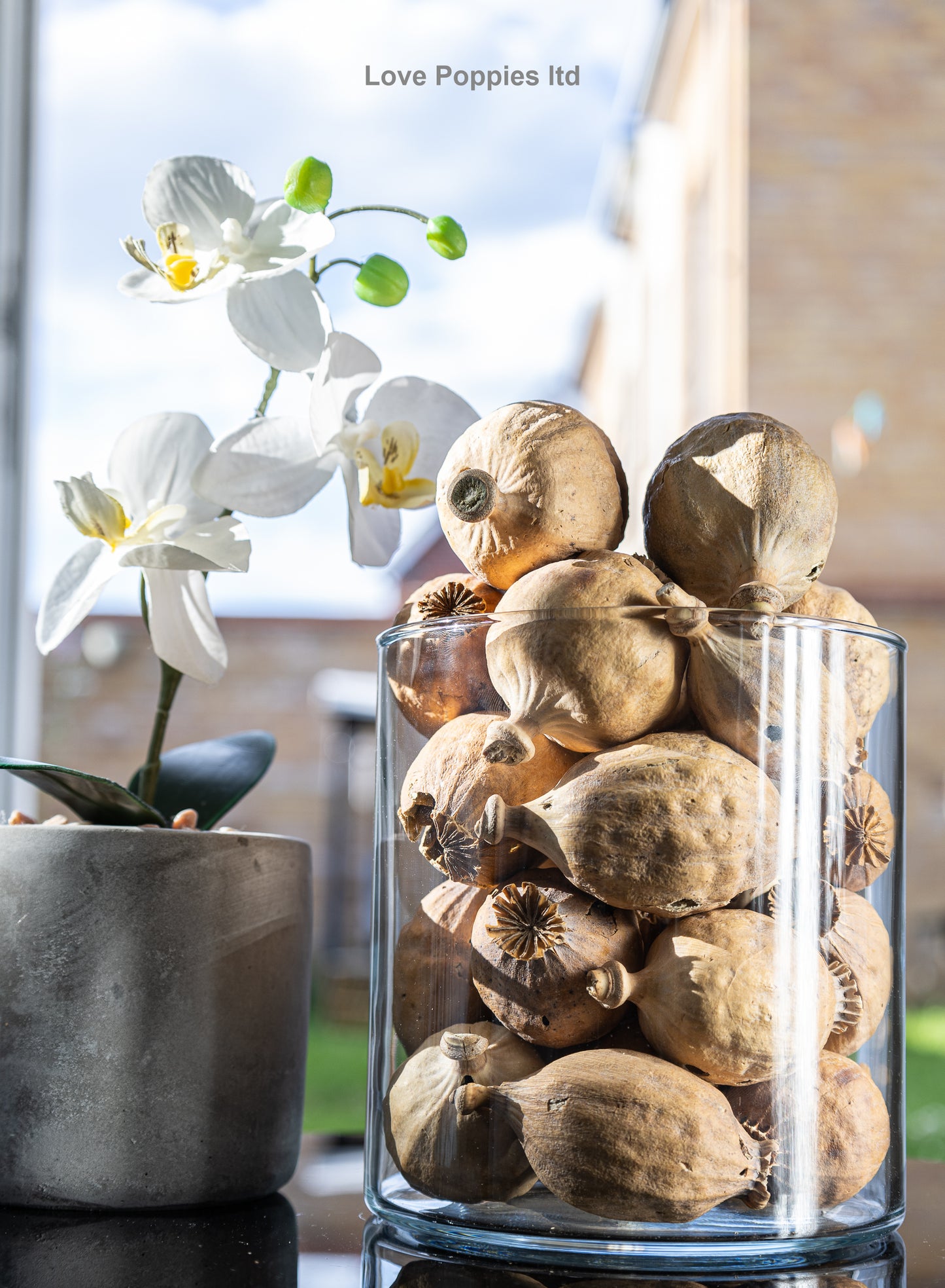 Austrian Dried Poppy Heads weight approx (1kg) seedless