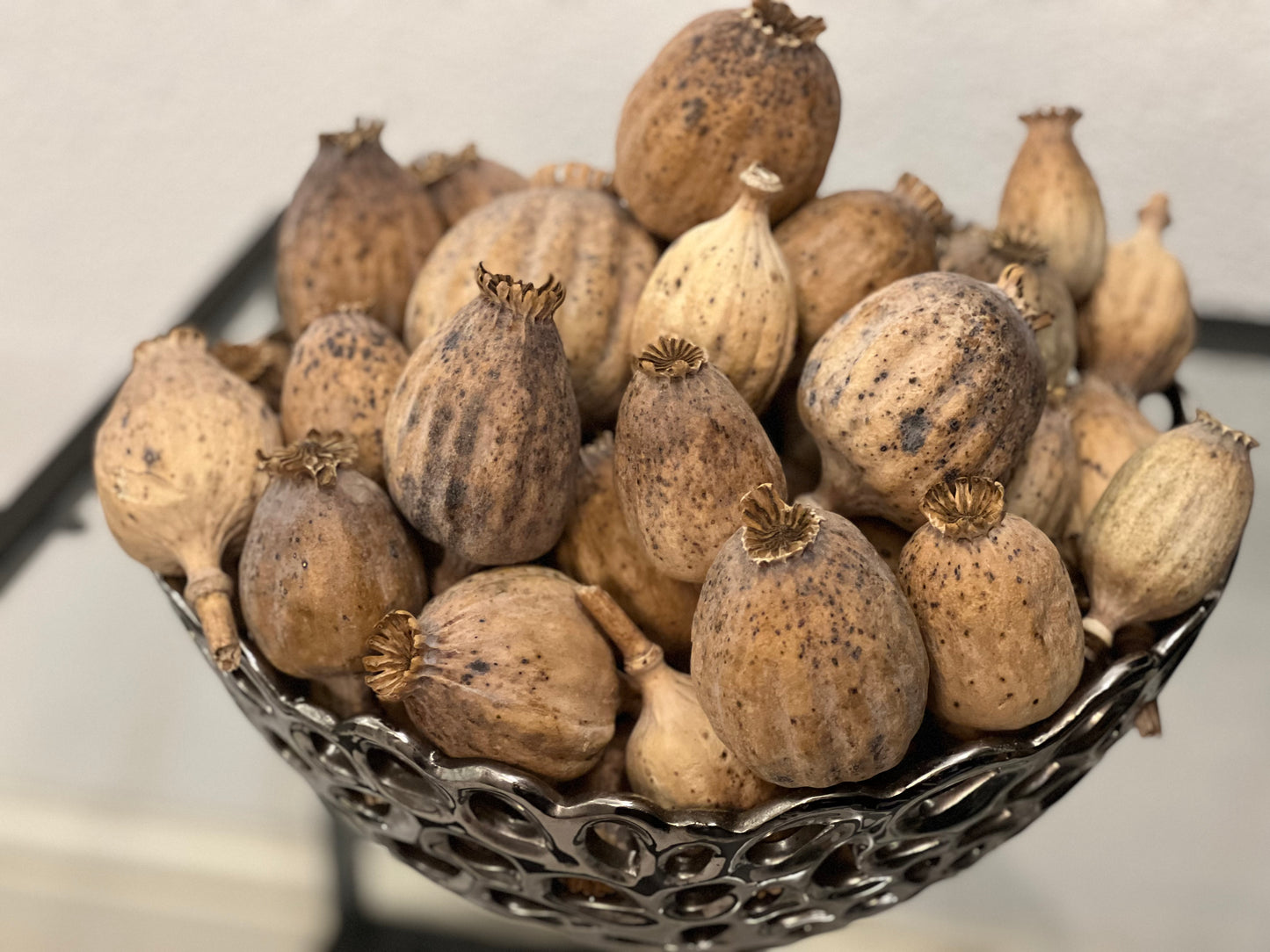 British Dried Poppy Pods weight approx (1kg)