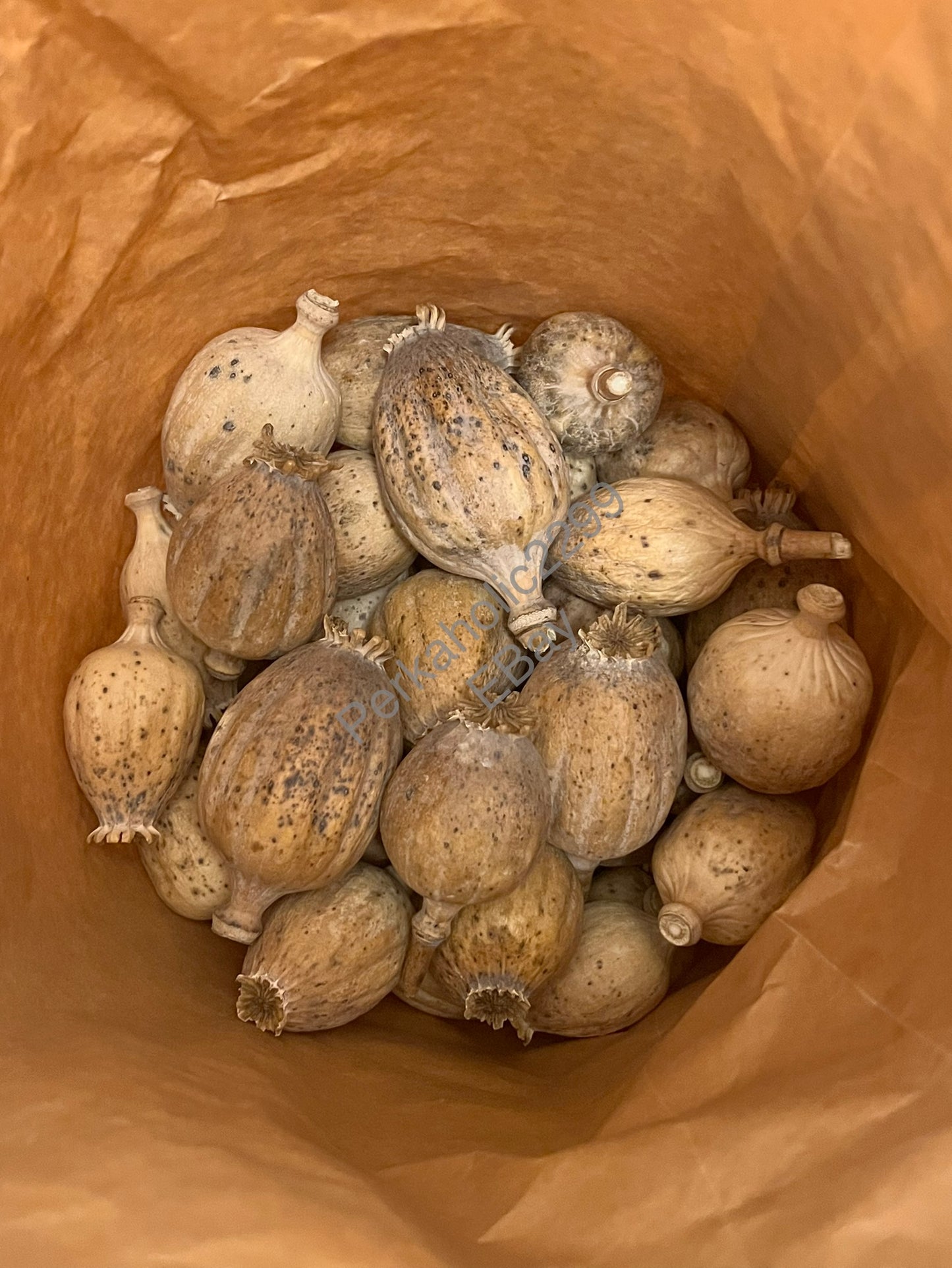 British Dried Poppy Pods weight approx (Half kg)